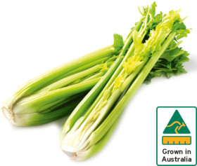 Australian-Celery-Bunch on sale