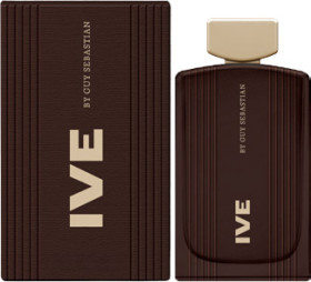 Guy-Sebastian-IVE-EDT-100mL on sale
