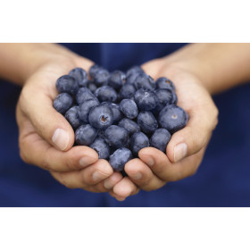 Australian-Blueberries-125g-Punnet on sale
