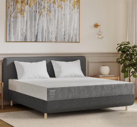 Tempur-Ease-25-Mattress on sale
