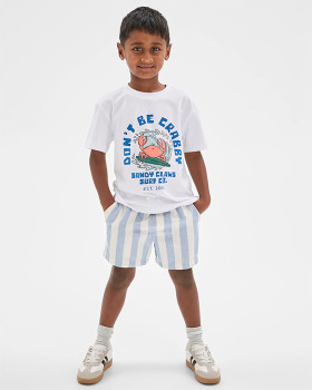Stripe-Volley-Shorts-Blue-White on sale