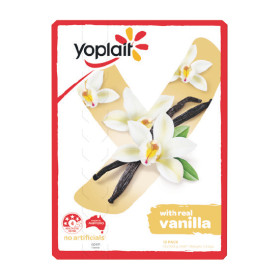 Yoplait+Yoghurt+Pk+12+x+100g