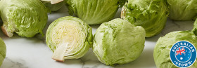 Australian-Iceberg-Lettuce on sale