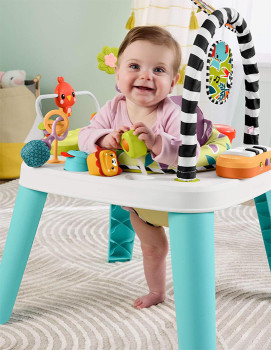 Fisher-Price-Purple-Monkey-Entertainer on sale