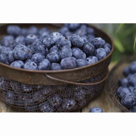 Australian-Blueberries-170g-Punnet on sale