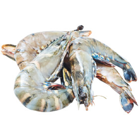 Australian-Thawed-Extra-Large-Raw-Tiger-Prawns on sale