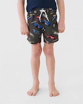 Hot-Wheels-License-Boardshorts on sale