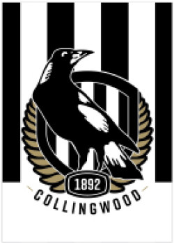 AFL-Team-Poster-A2-Single-Sided-Paper-Decoration-Ea on sale
