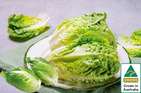 Australian-Baby-Cos-Lettuce-Twin-Pack on sale