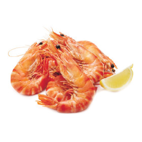 Australian+Thawed+Extra+Large+Cooked+Tiger+Prawns