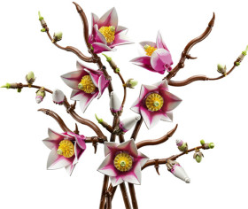 LEGO-Botanicals-Magnolia-Branches-11510 on sale