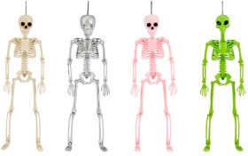 Poseable-Skeleton-Assorted on sale