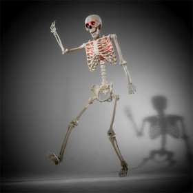 Battery-Operated-LED-Light-Up-Poseable-Skeleton on sale