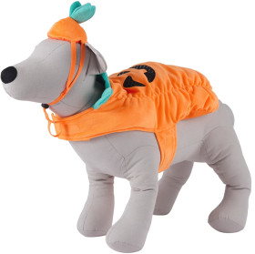 Pumpkin-and-Hat-Small-to-Medium on sale