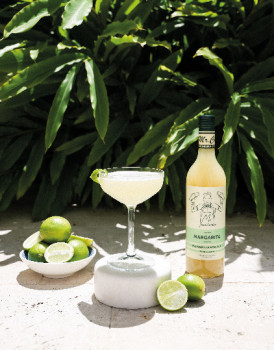 Mr-Consistent-Margarita-Mix on sale
