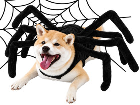 Spider-Pup-Pet-Costume on sale