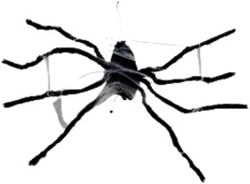 Animated-Spider-12m on sale
