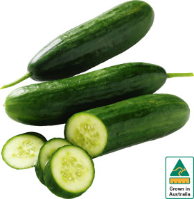Australian+Lebanese+Cucumber