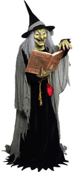 Witch-with-Spellbook-17m on sale