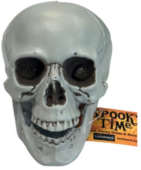 Skull+with+Movable+Jaw+10cm