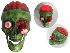 Skull+with+Exposed+Brain