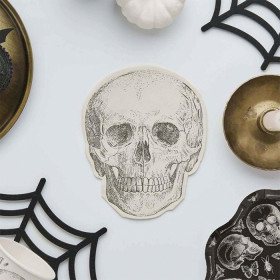 Creepy-Chic-Lunch-Napkin-16-Pack on sale