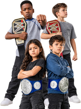 WWE-Championship-Title-Assorted on sale