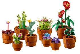 LEGO%26reg%3B+Botanicals+Tiny+Plants+10329