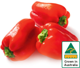 Australian+Red+Capsicum