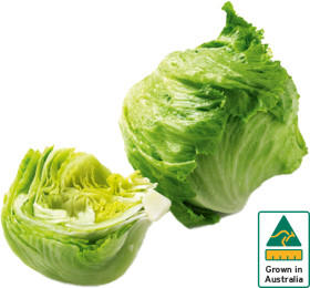 Australian+Iceberg+Lettuce