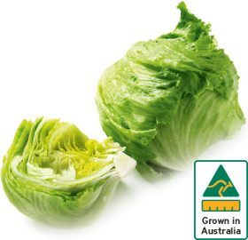 Australian+Iceberg+Lettuce